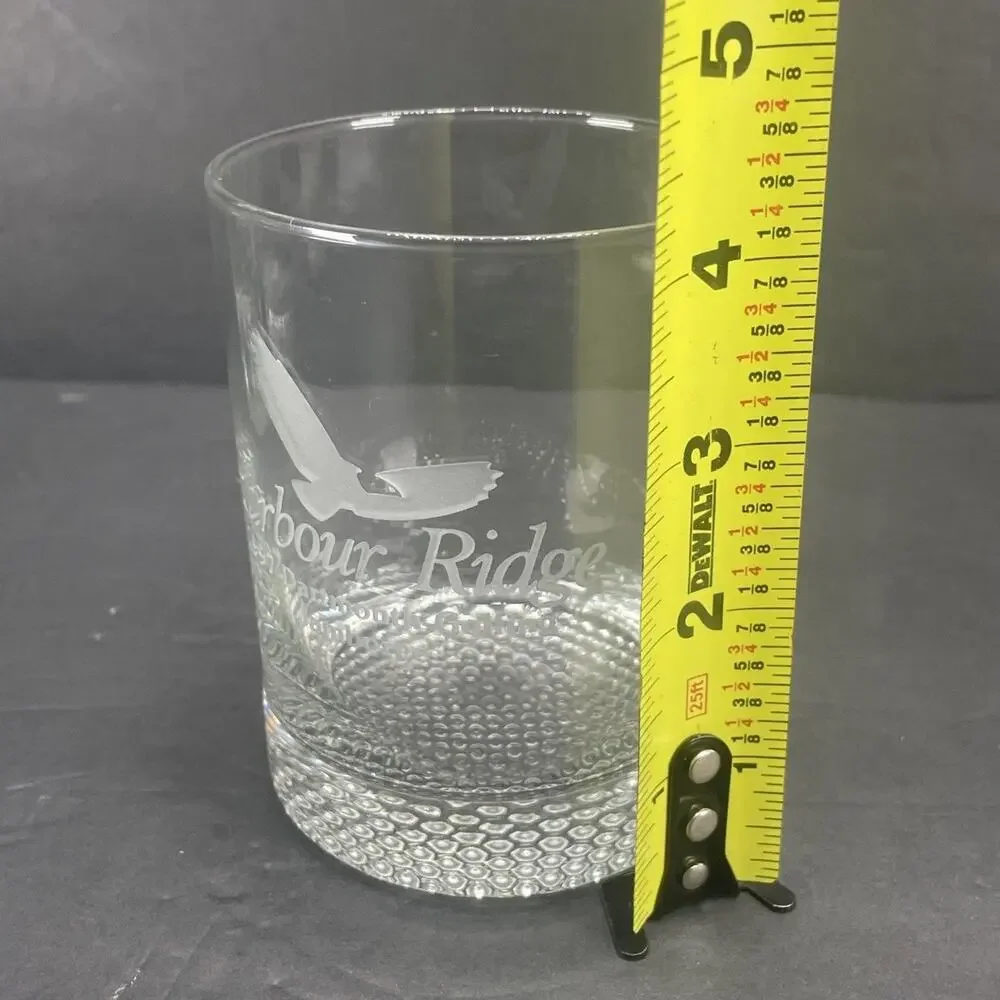 Rare 1997 Harbour Ridge Dartmouth Golfing Jamboree Collector's Glasses Set of 4